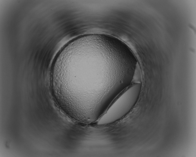 X0000091531008200709071036