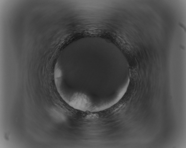 X0000091531009200709071035