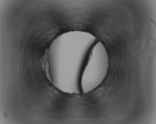 X0000091531010200709071035