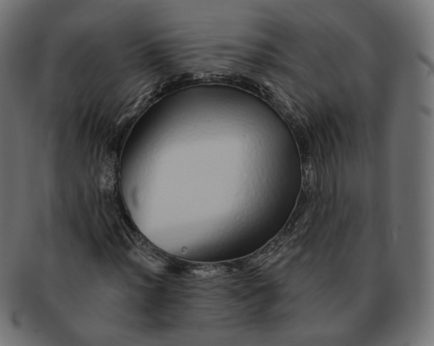 X0000091531012200709071035