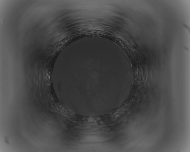X0000091531013200709071035