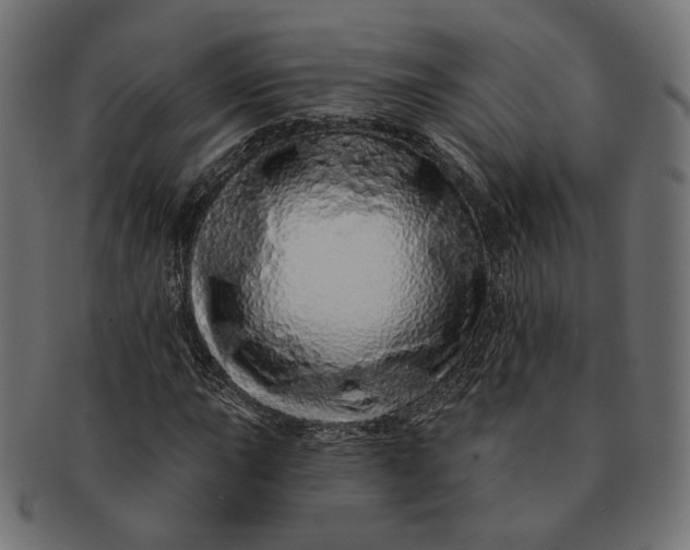 X0000091531015200709071035
