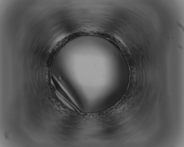 X0000091531016200709071035