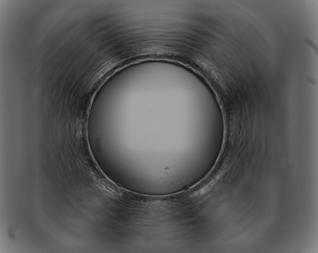 X0000091531017200709071035