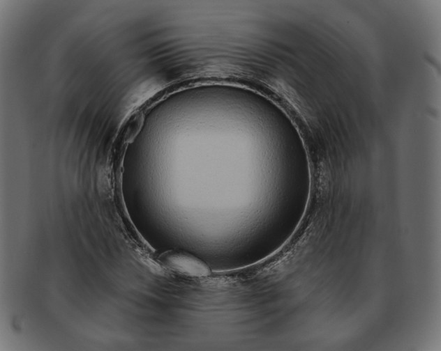 X0000091531018200709071035