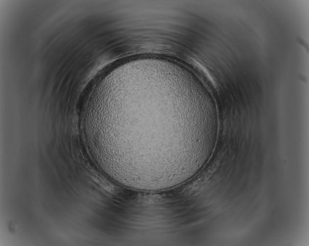 X0000091531019200709071035