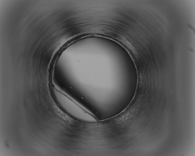 X0000091531020200709071035