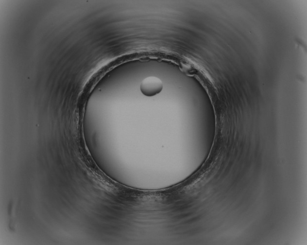 X0000091531021200709071035