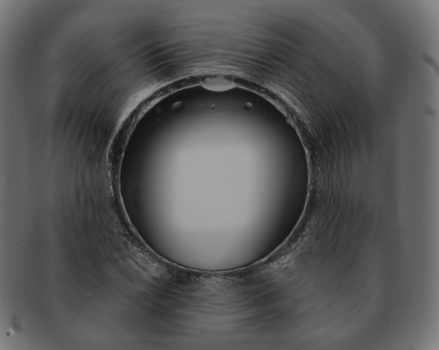 X0000091531022200709071035