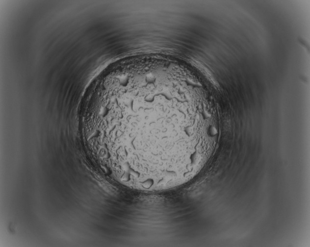 X0000091531023200709071035