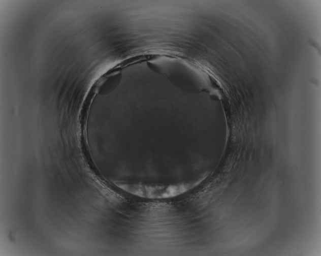 X0000091531024200709071035