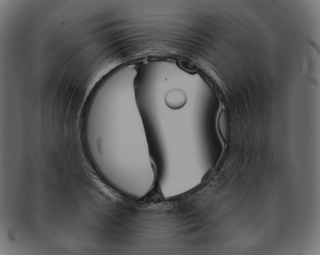 X0000091531026200709071035