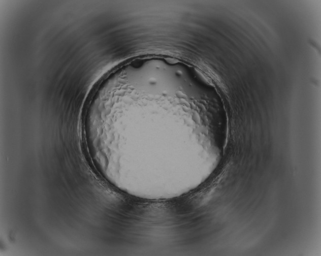 X0000091531028200709071035