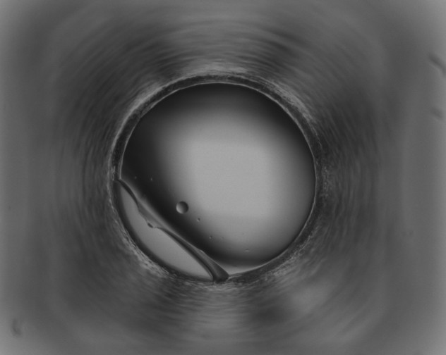 X0000091531029200709071035