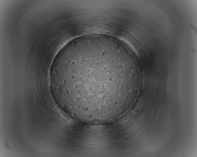 X0000091531031200709071035