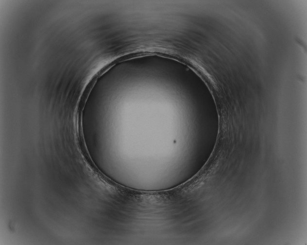 X0000091531032200709071035