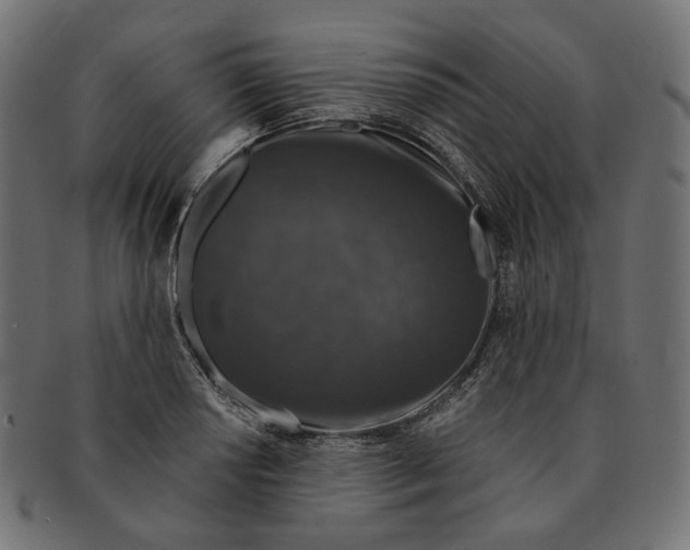 X0000091531034200709071035