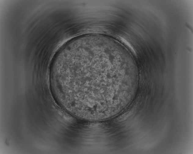X0000091531035200709071035