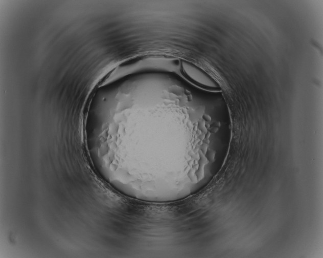 X0000091531036200709071035