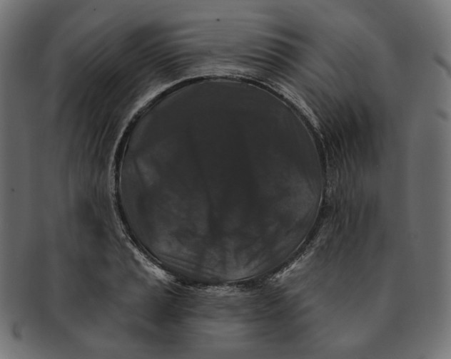 X0000091531037200709071035