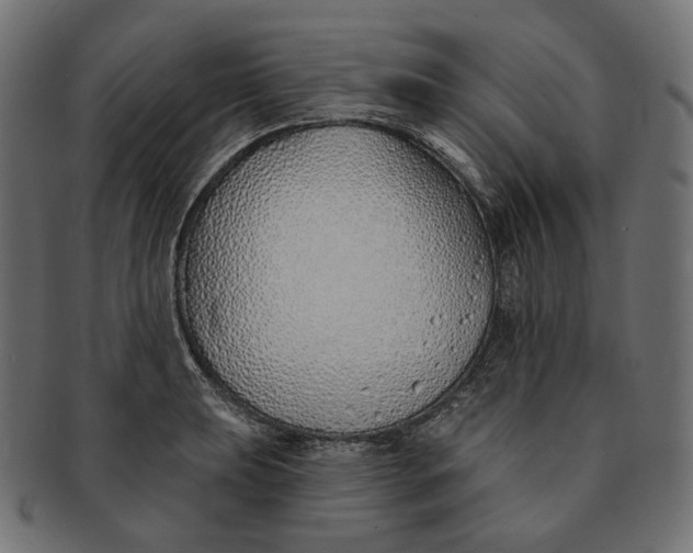 X0000091531039200709071036