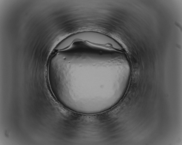 X0000091531040200709071036