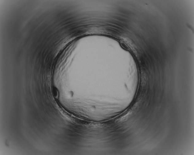 X0000091531041200709071036