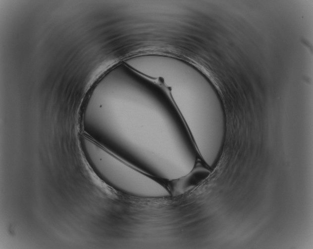 X0000091531042200709071036
