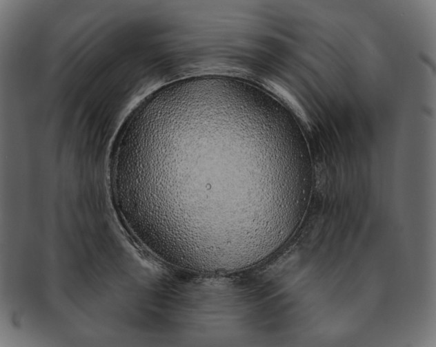 X0000091531043200709071036