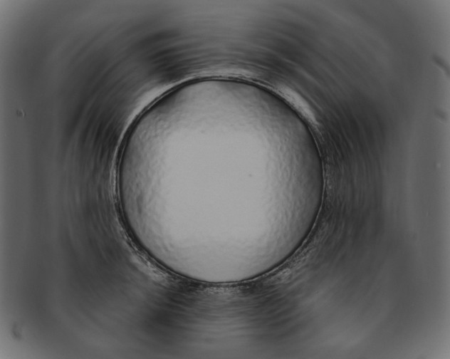 X0000091531044200709071036