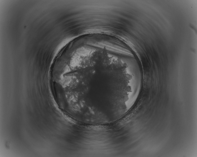 X0000091531045200709071036