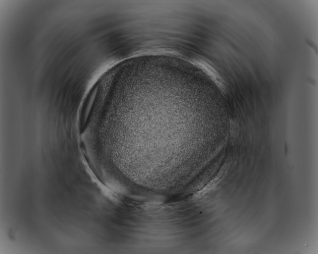 X0000091531046200709071036