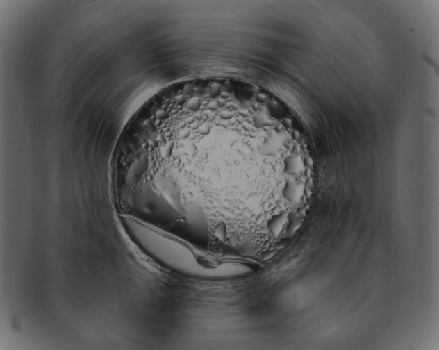 X0000091531047200709071036