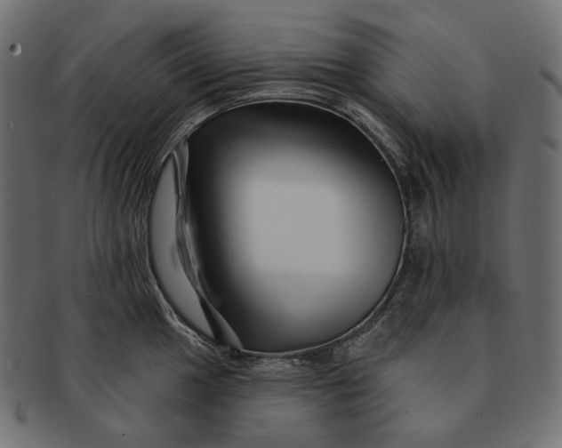 X0000091531049200709071036