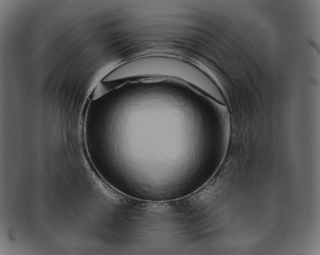 X0000091531050200709071036