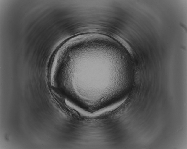 X0000091531051200709071036