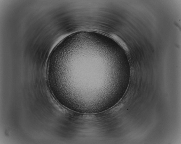 X0000091531052200709071036