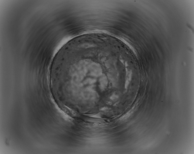 X0000091531054200709071036