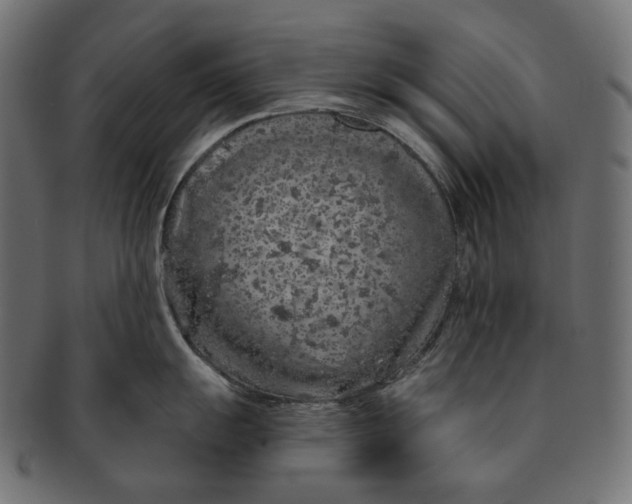 X0000091531055200709071036