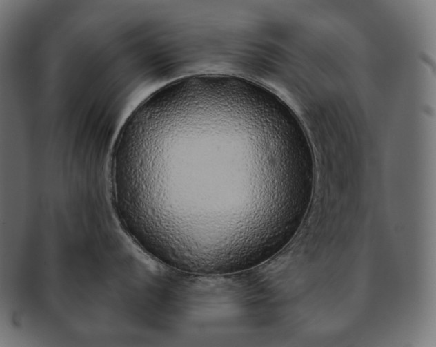 X0000091531056200709071036