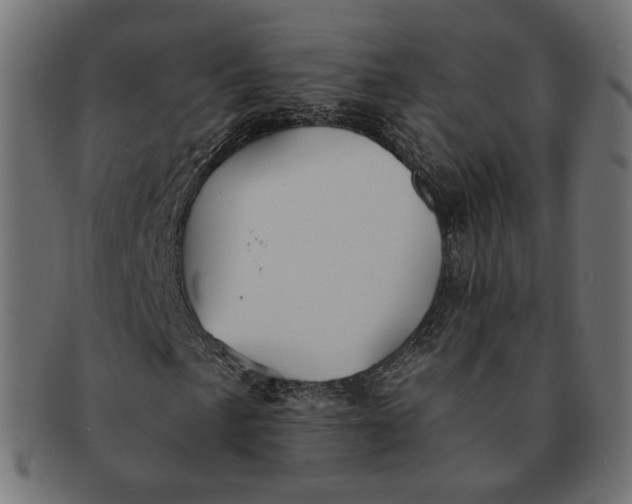 X0000091531057200709071035