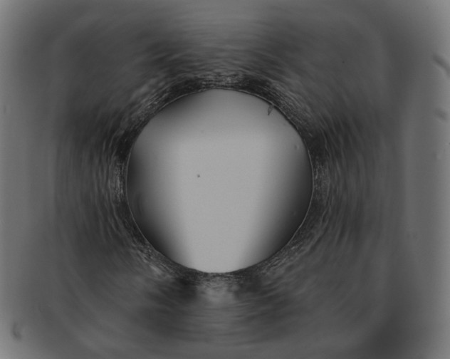 X0000091531058200709071035