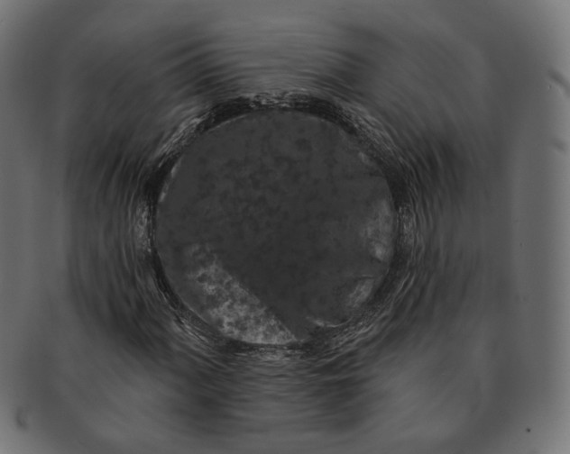 X0000091531060200709071035