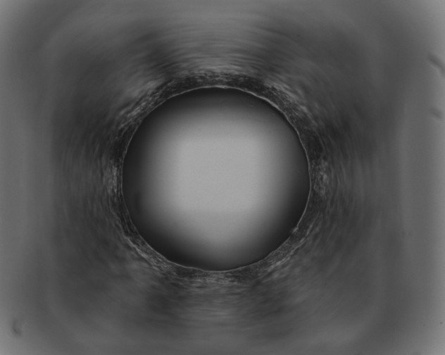 X0000091531061200709071035