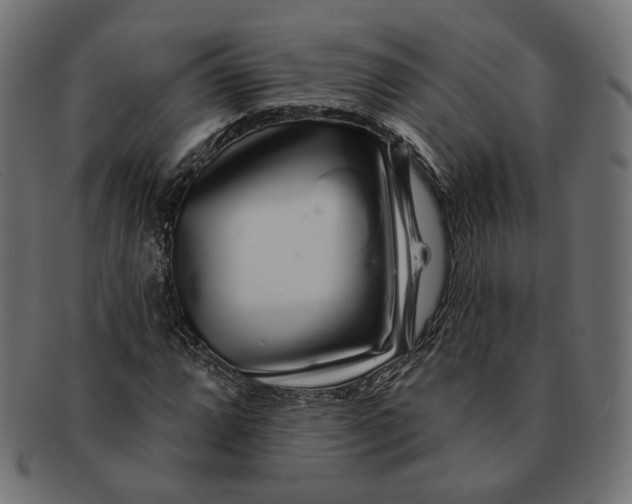 X0000091531064200709071035