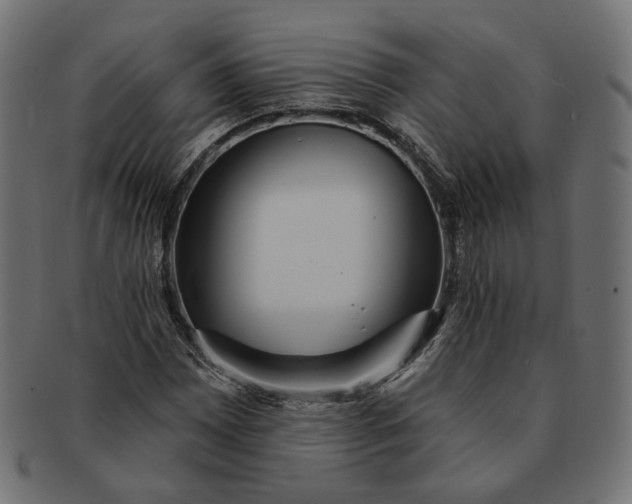 X0000091531065200709071035