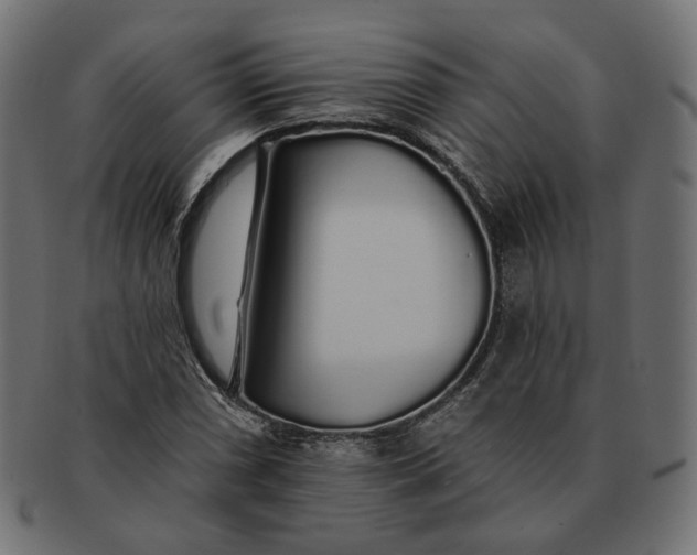 X0000091531066200709071035