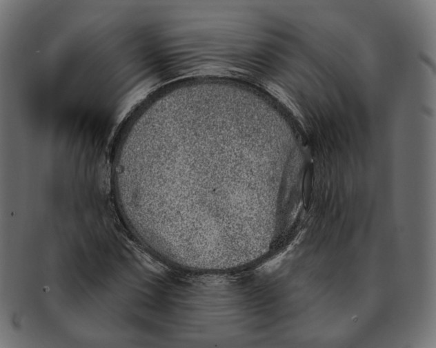X0000091531067200709071035
