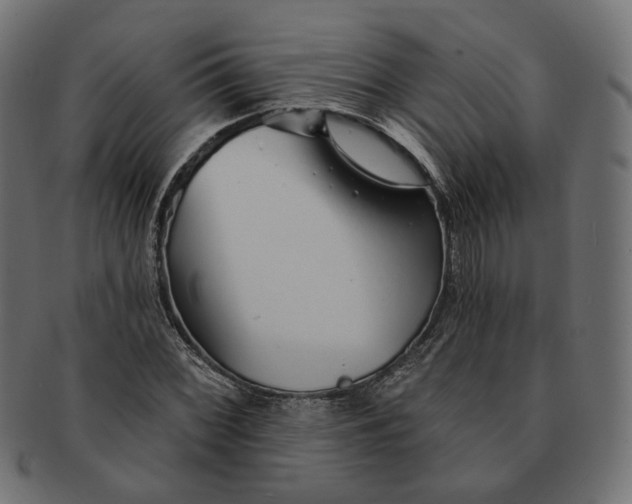 X0000091531068200709071035
