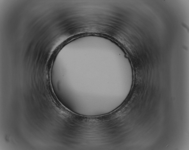 X0000091531070200709071035